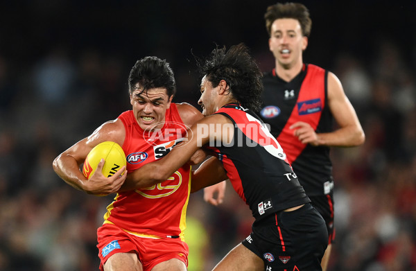 AFL Rd 2  - Essendon v Gold Coast - A-1010854
