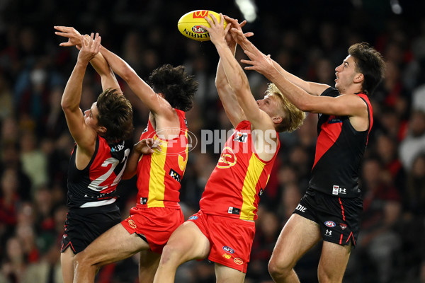 AFL Rd 2  - Essendon v Gold Coast - A-1011636