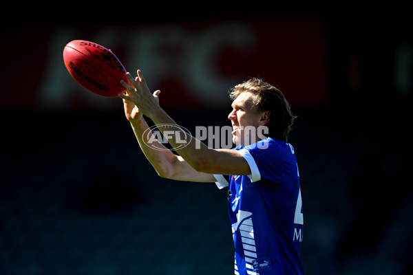 AFL Rd 3 - Hawthorn v North Melbourne - A-1040289