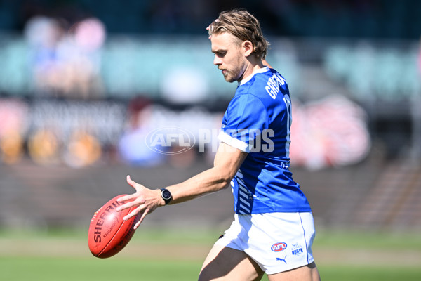 AFL Rd 3 - Hawthorn v North Melbourne - A-1040979
