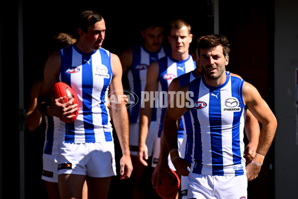 AFL Rd 3 - Hawthorn v North Melbourne - A-1040986