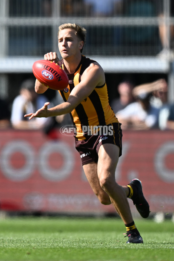 AFL Rd 3 - Hawthorn v North Melbourne - A-1040989