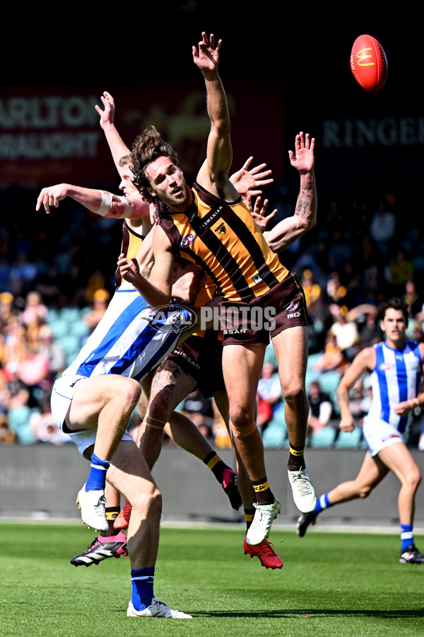 AFL Rd 3 - Hawthorn v North Melbourne - A-1040995