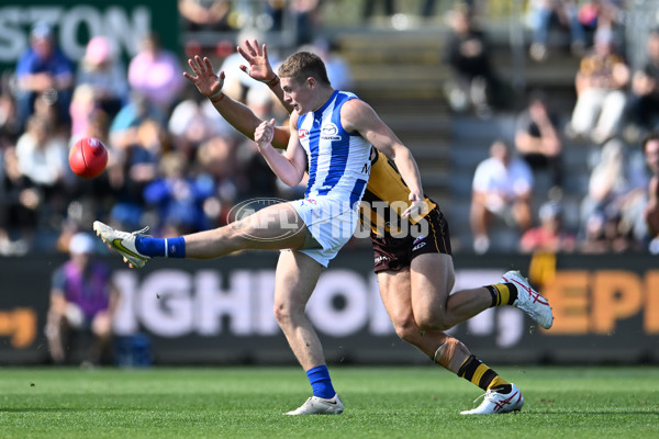 AFL Rd 3 - Hawthorn v North Melbourne - A-1041003