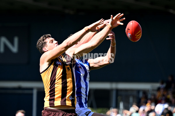 AFL Rd 3 - Hawthorn v North Melbourne - A-1043135