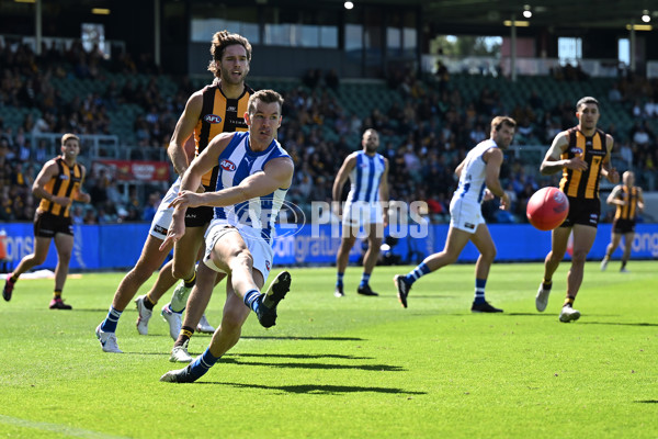 AFL Rd 3 - Hawthorn v North Melbourne - A-1043139