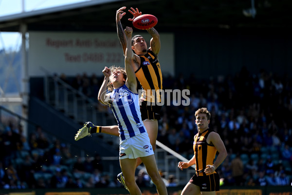 AFL Rd 3 - Hawthorn v North Melbourne - A-1043140