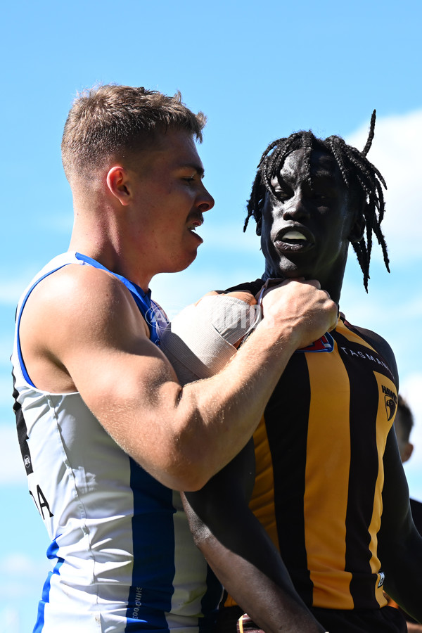 AFL Rd 3 - Hawthorn v North Melbourne - A-1043141