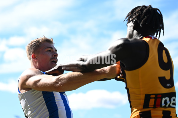 AFL Rd 3 - Hawthorn v North Melbourne - A-1043146