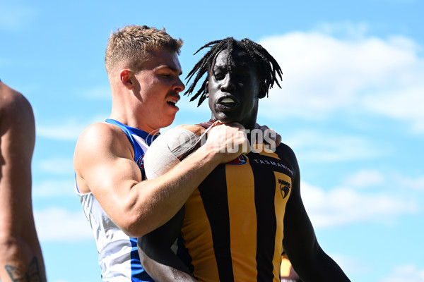 AFL Rd 3 - Hawthorn v North Melbourne - A-1043148