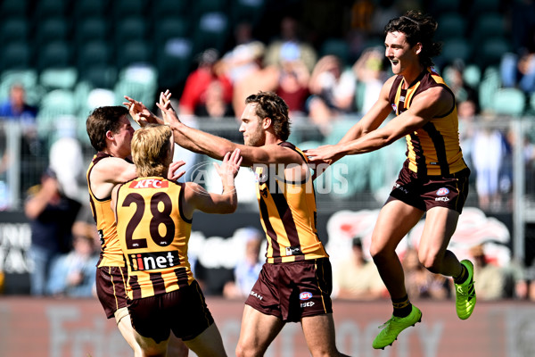 AFL Rd 3 - Hawthorn v North Melbourne - A-1043163