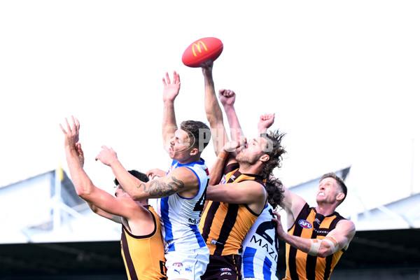 AFL Rd 3 - Hawthorn v North Melbourne - A-1045635