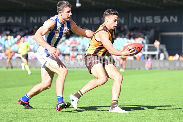 AFL Rd 3 - Hawthorn v North Melbourne - A-1047198
