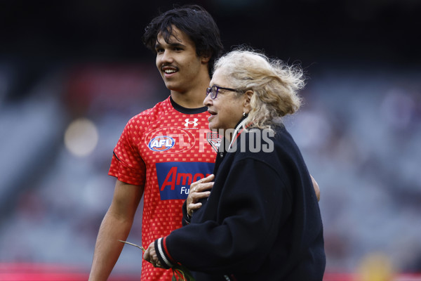 AFL Rd 3 - St Kilda v Essendon - A-1048543