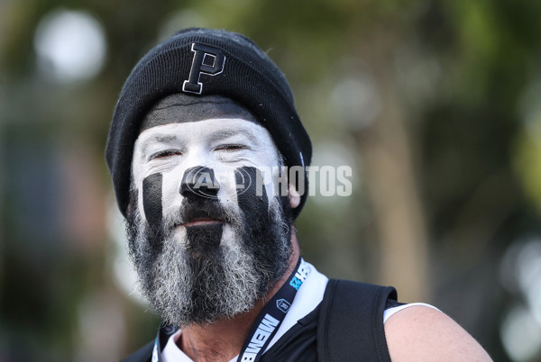 AFL Rd 3 - Port Adelaide v Adelaide - A-1050314