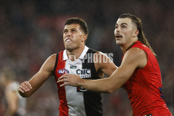 AFL Rd 3 - St Kilda v Essendon - A-1053691