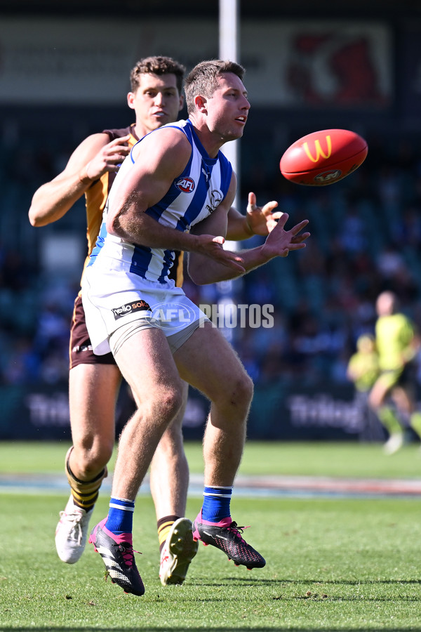 AFL Rd 3 - Hawthorn v North Melbourne - A-1056455