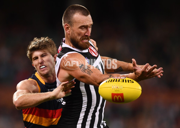 AFL Rd 3 - Port Adelaide v Adelaide - A-1059824