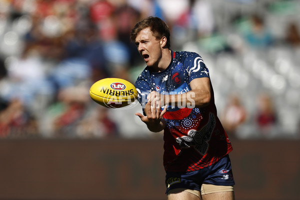 AFL Rd 3 - Melbourne v Sydney - A-1067931