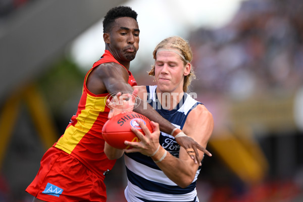 AFL Rd 3 - Gold Coast v Geelong - A-1069019
