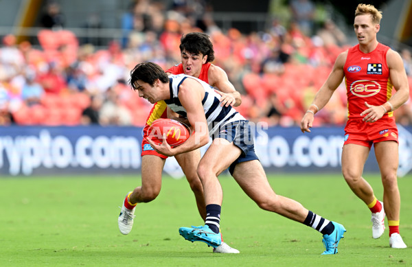 AFL Rd 3 - Gold Coast v Geelong - A-1070909