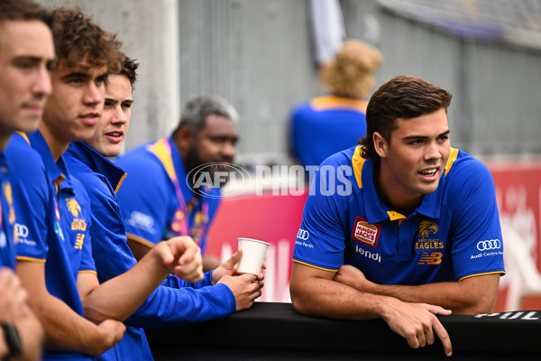 AFL Rd 3 - Fremantle v West Coast - A-1071002