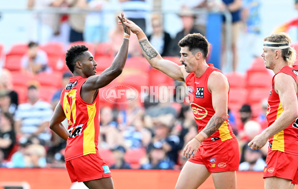 AFL Rd 3 - Gold Coast v Geelong - A-1074599