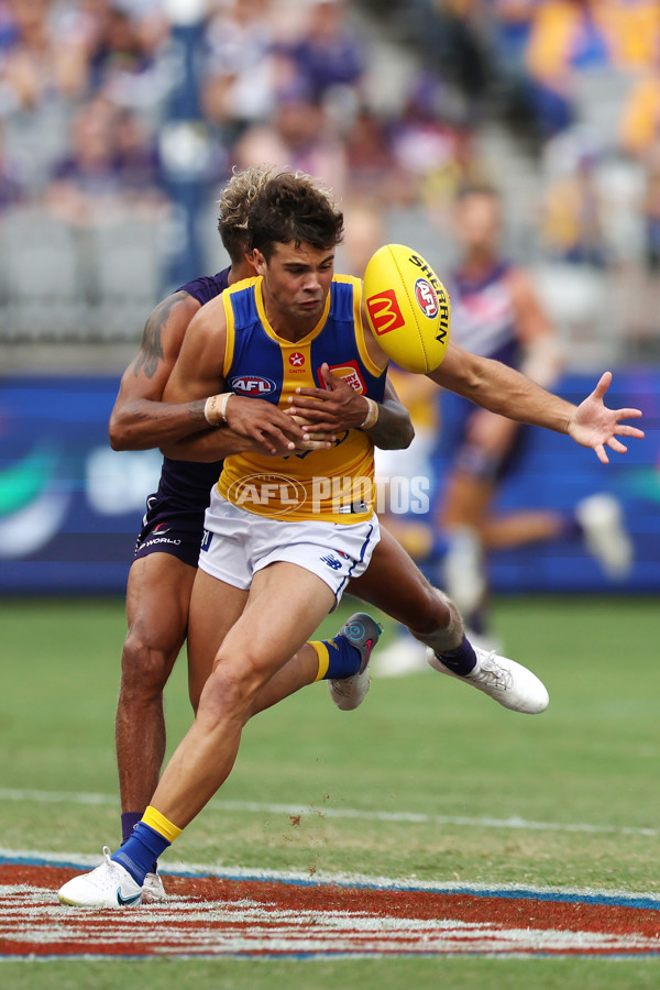 AFL Rd 3 - Fremantle v West Coast - A-1076643