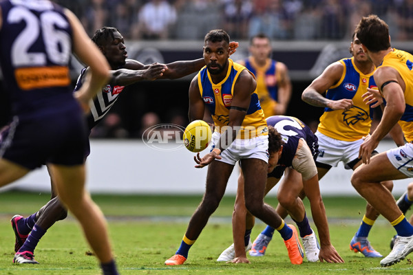 AFL Rd 3 - Fremantle v West Coast - A-1080680
