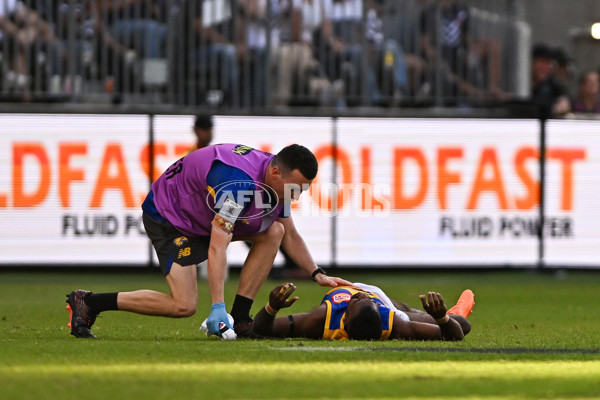 AFL Rd 3 - Fremantle v West Coast - A-1085434