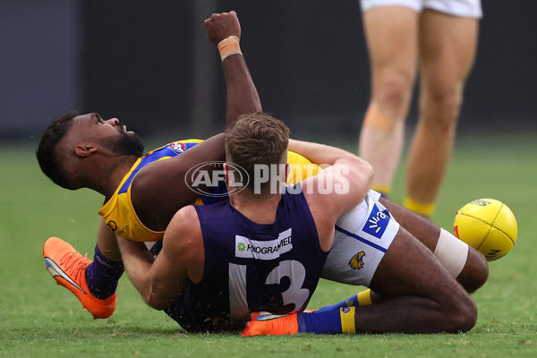 AFL Rd 3 - Fremantle v West Coast - A-1086723
