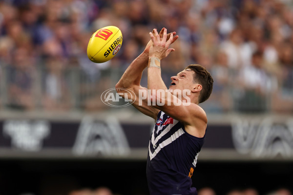 AFL Rd 3 - Fremantle v West Coast - A-1090915