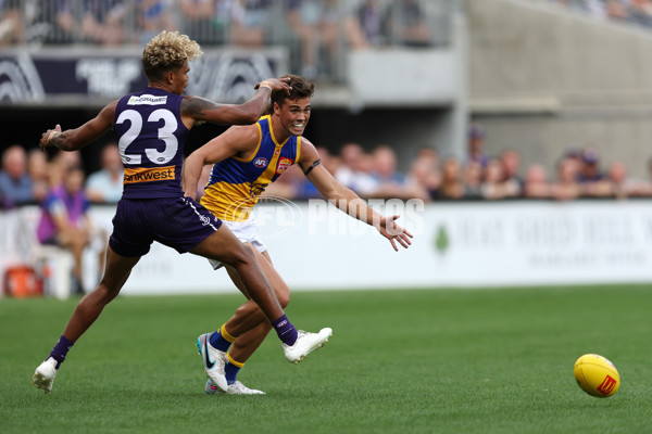 AFL Rd 3 - Fremantle v West Coast - A-1090940