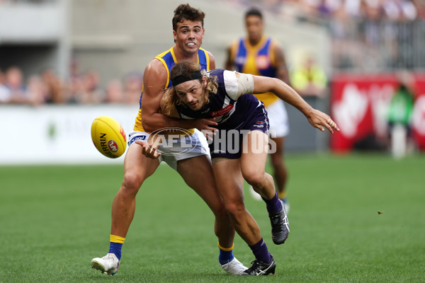 AFL Rd 3 - Fremantle v West Coast - A-1090941