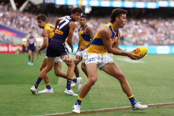 AFL Rd 3 - Fremantle v West Coast - A-1090958