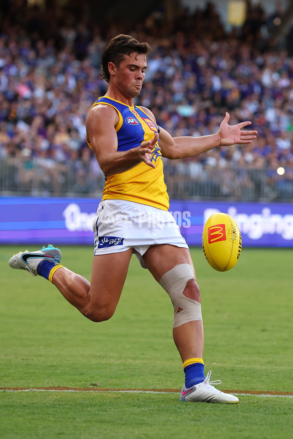 AFL Rd 3 - Fremantle v West Coast - A-1090966