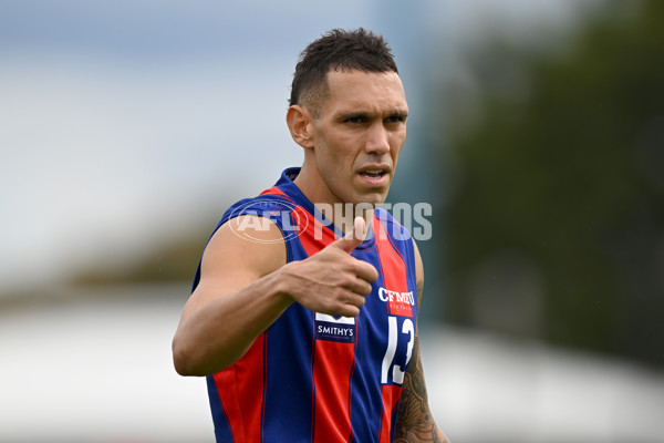 VFL Rd 3 - Williamstown v Port Melbourne - A-1105755
