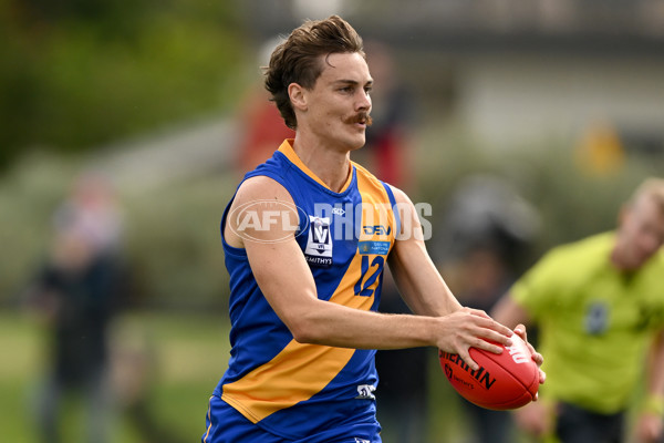 VFL Rd 3 - Williamstown v Port Melbourne - A-1105779