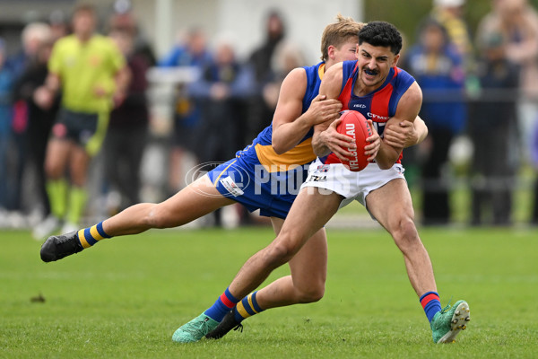 VFL Rd 3 - Williamstown v Port Melbourne - A-1108622
