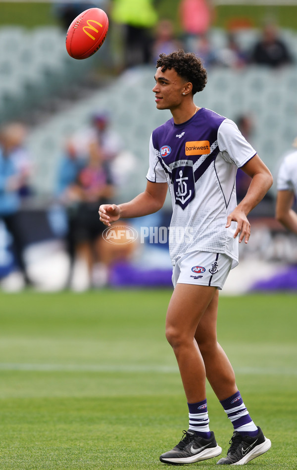 AFL Rd 4 - Adelaide v Fremantle - A-1111389