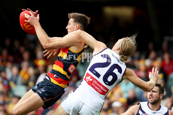 AFL Rd 4 - Adelaide v Fremantle - A-1113820