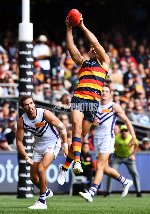 AFL Rd 4 - Adelaide v Fremantle - A-1114282