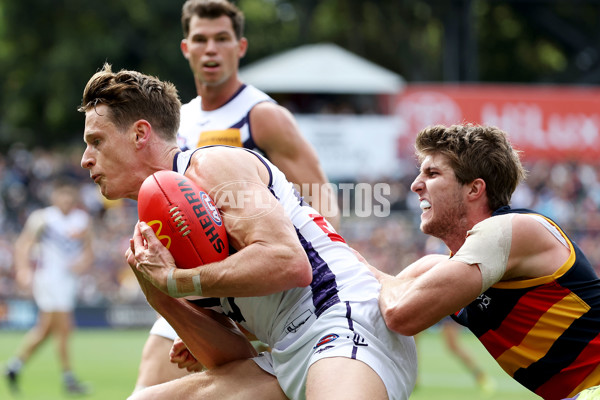 AFL Rd 4 - Adelaide v Fremantle - A-1114332
