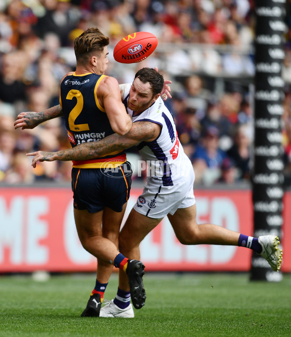 AFL Rd 4 - Adelaide v Fremantle - A-1116299