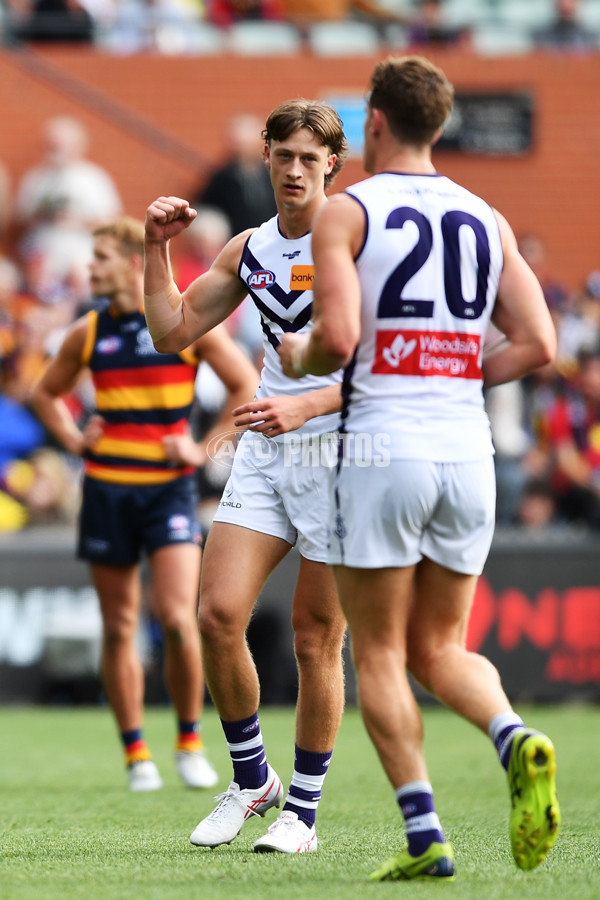 AFL Rd 4 - Adelaide v Fremantle - A-1116310