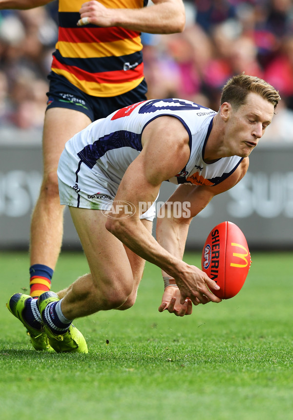 AFL Rd 4 - Adelaide v Fremantle - A-1122740