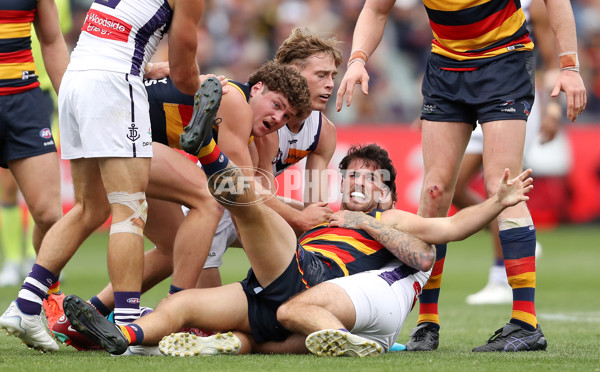 AFL Rd 4 - Adelaide v Fremantle - A-1122871
