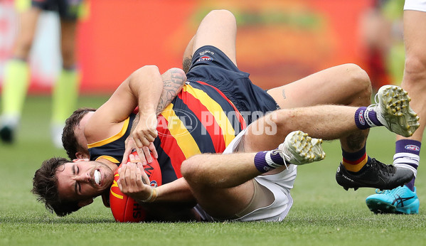 AFL Rd 4 - Adelaide v Fremantle - A-1122873