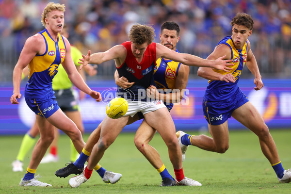 AFL Rd 4 - West Coast v Melbourne - A-1131591