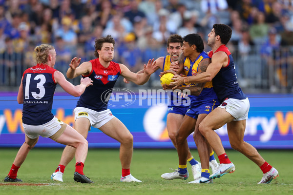 AFL Rd 4 - West Coast v Melbourne - A-1131600